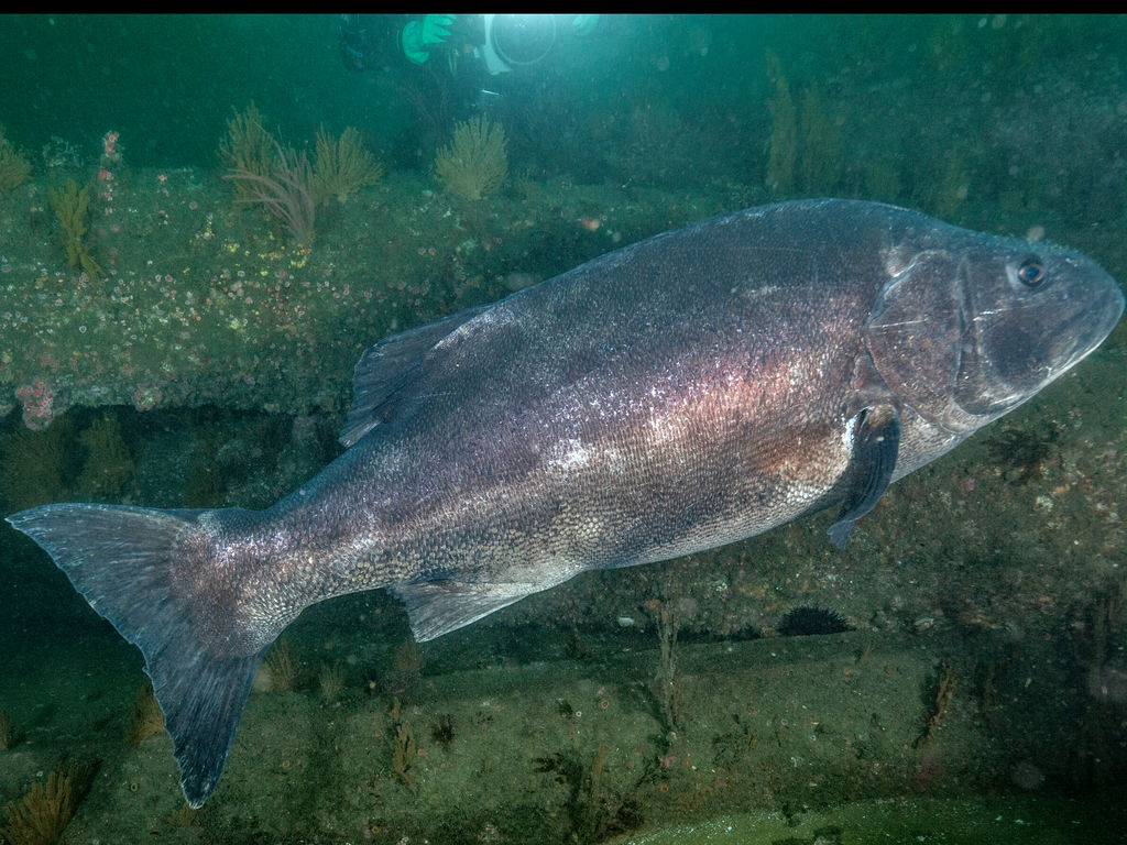 e7116184-2623-414b-a9d7-fc83ebb53a53