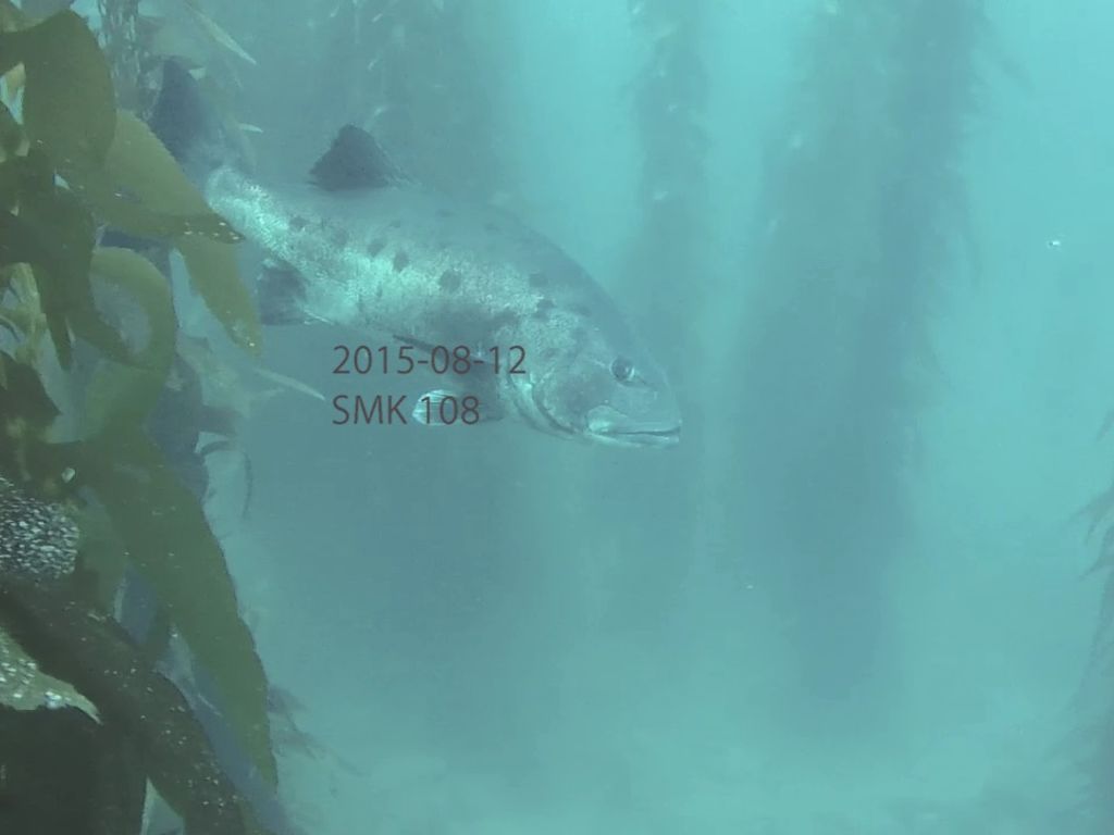 dd63c0d3-e60e-4088-a9b8-42f6f651c2e3