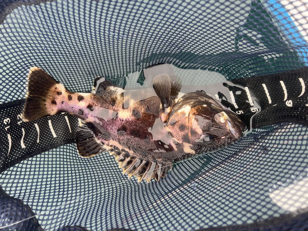 5df96bf7-40ce-411f-9ccc-7941e70e0e1c