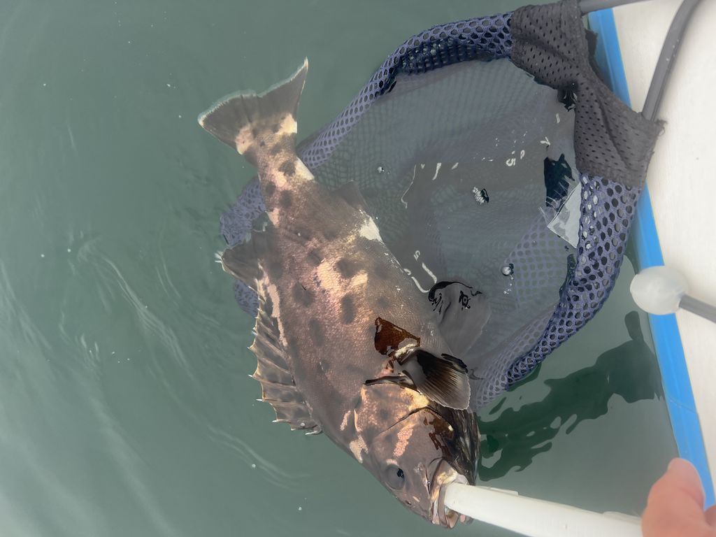 5df96bf7-40ce-411f-9ccc-7941e70e0e1c