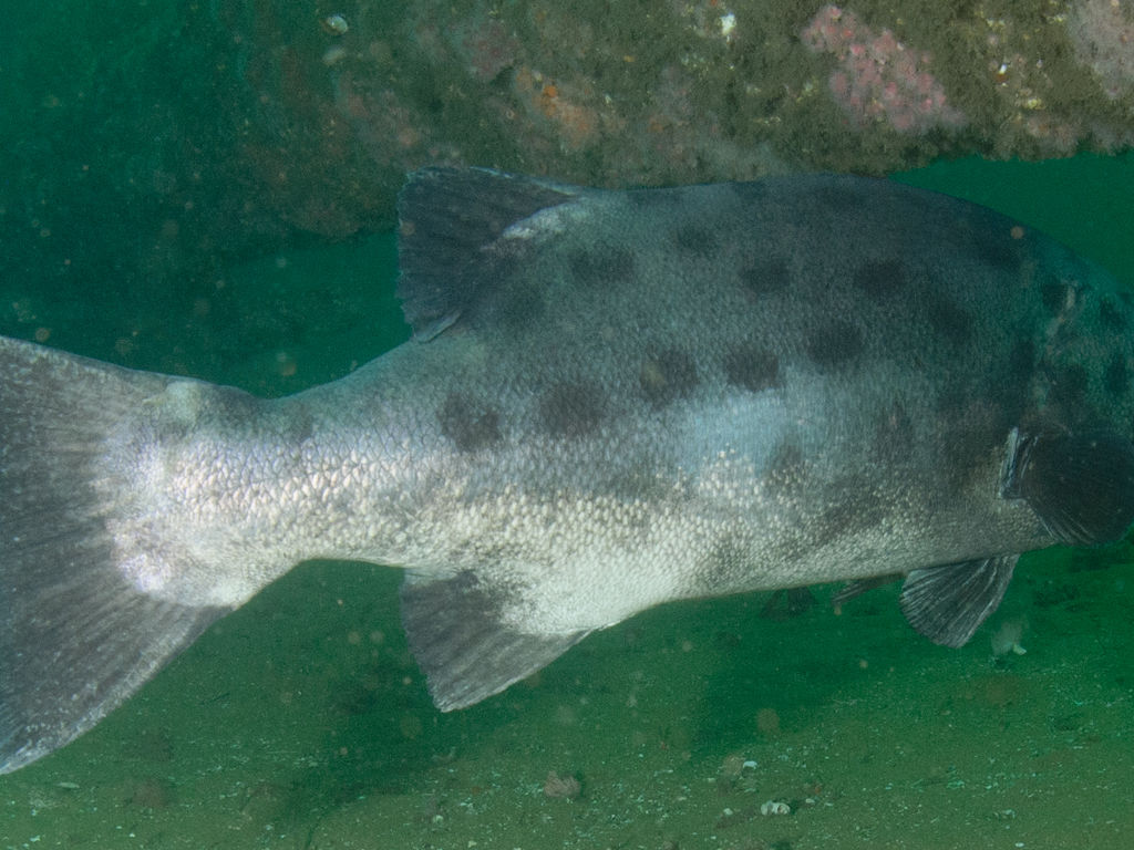 e7b82b12-4319-4ea8-8e3d-043adce17878