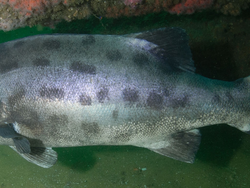 e7b82b12-4319-4ea8-8e3d-043adce17878