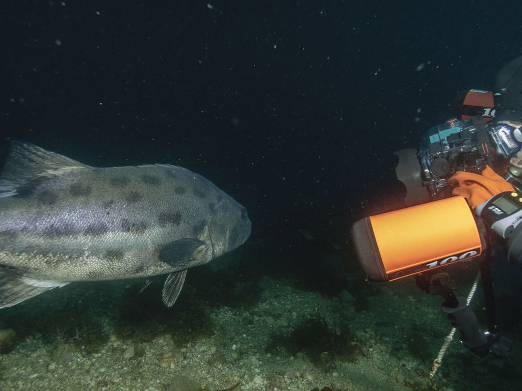 60c78d71-85e3-47df-961f-41849d00ea9b