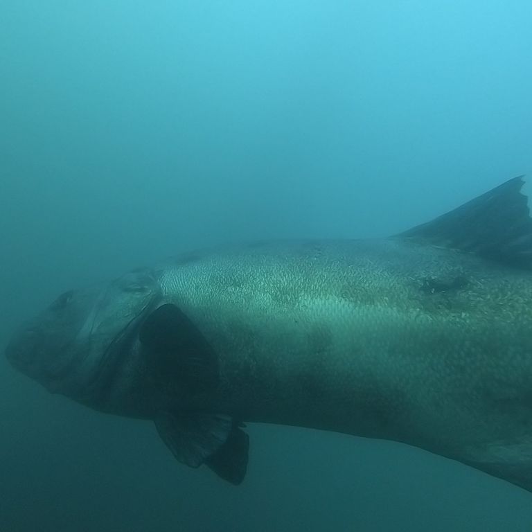 2c7ecab0-0eb3-4d4d-97ff-d574261487da