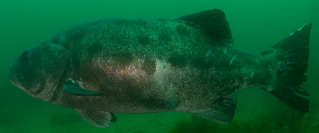 9484a25d-ff50-4897-bbb5-200db0d246e7