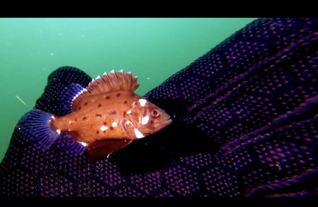 a233ca66-f1b2-4732-b839-6c729ee3c573