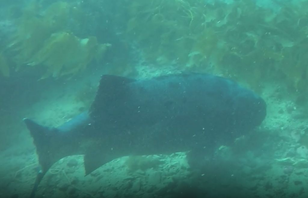 3ee9d8cf-8e2e-4d84-add1-fbe8fa62c3fd