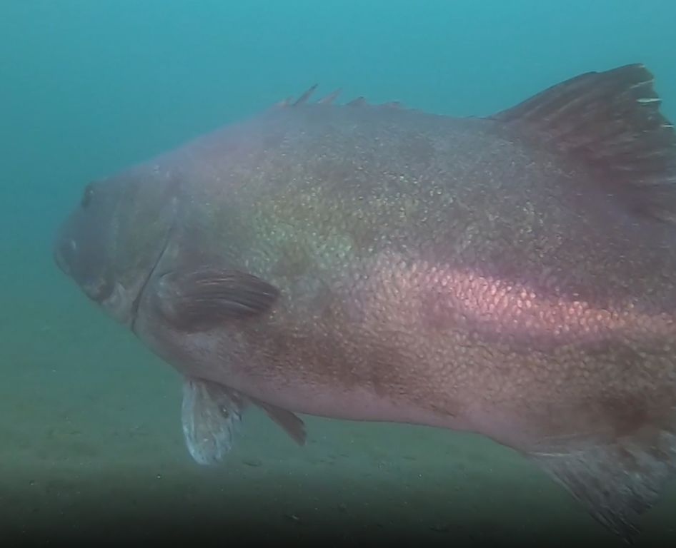 1016c639-8bc7-47d5-b7dd-00b50f6d7812