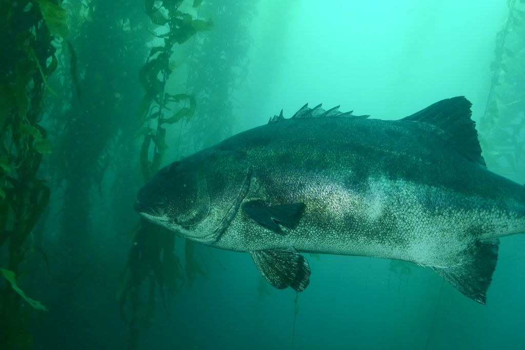 b042e3c3-5d3d-4cb7-ba64-3d8d9b54a1b0