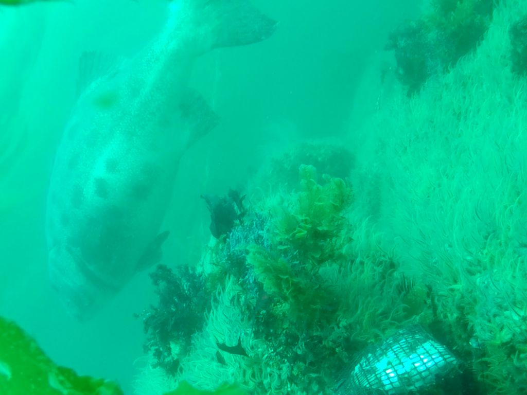 2237a388-f0e0-4794-8f46-9658c5f73dc1