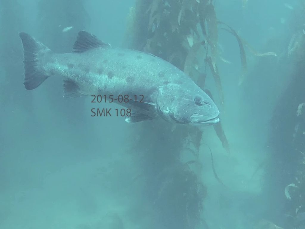 dd63c0d3-e60e-4088-a9b8-42f6f651c2e3