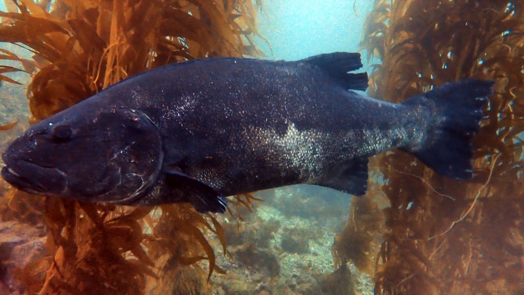 7a5bd8b2-8907-4ebd-866a-940b81dffaad