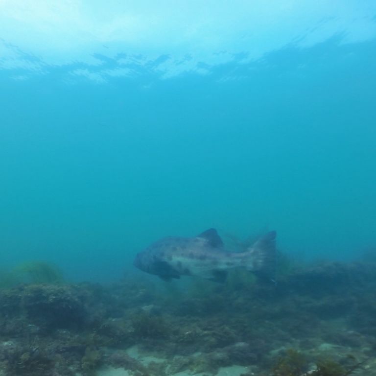 17f12abe-7097-412a-8bf1-37b6c752bf06