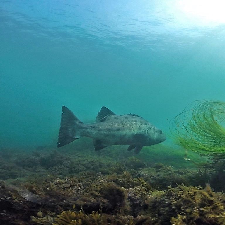 17f12abe-7097-412a-8bf1-37b6c752bf06