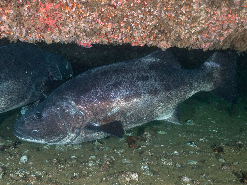 4f5368ea-1844-45f5-b23d-9688157356e9