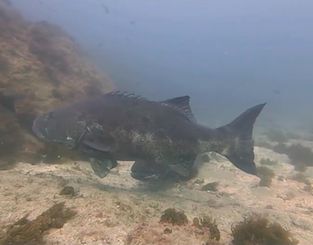 26a0d85e-8800-4988-bbc1-1a1243cd0f5b