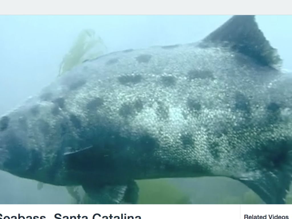 660ce193-e02e-4756-b1e7-3f60f8ea9bda