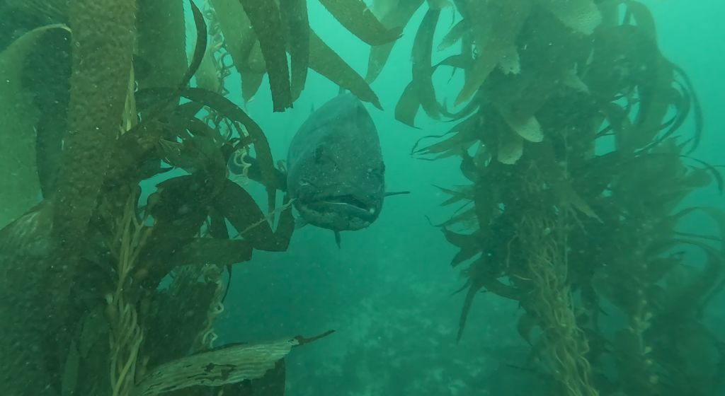 73f5c444-4c08-4944-a791-43fa9725fde7