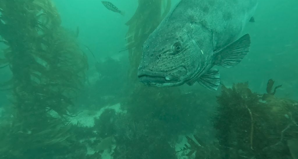 73f5c444-4c08-4944-a791-43fa9725fde7