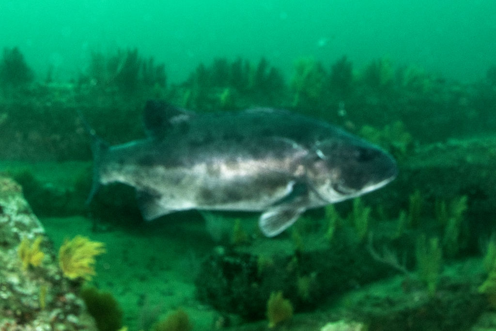 beb0def7-ec3d-4083-af38-9c03e830a112