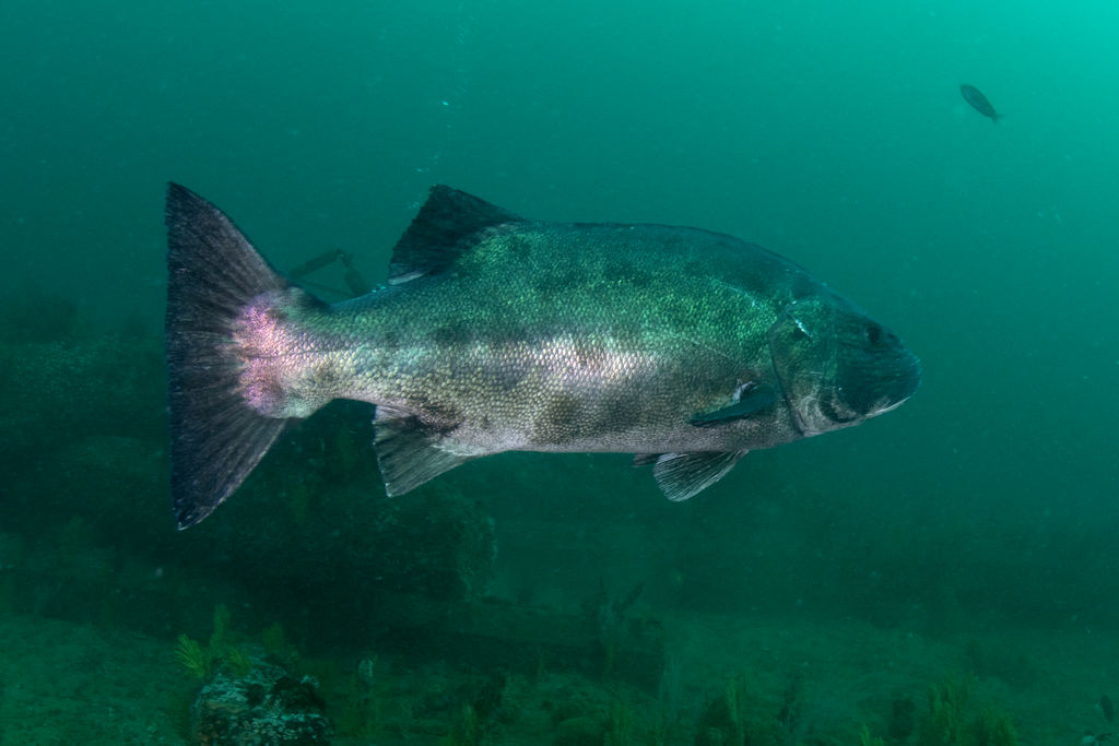 beb0def7-ec3d-4083-af38-9c03e830a112