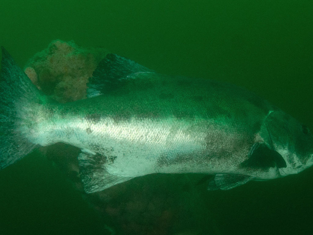 cd6dcb7f-f207-47a0-a2b1-72cc74a8a495