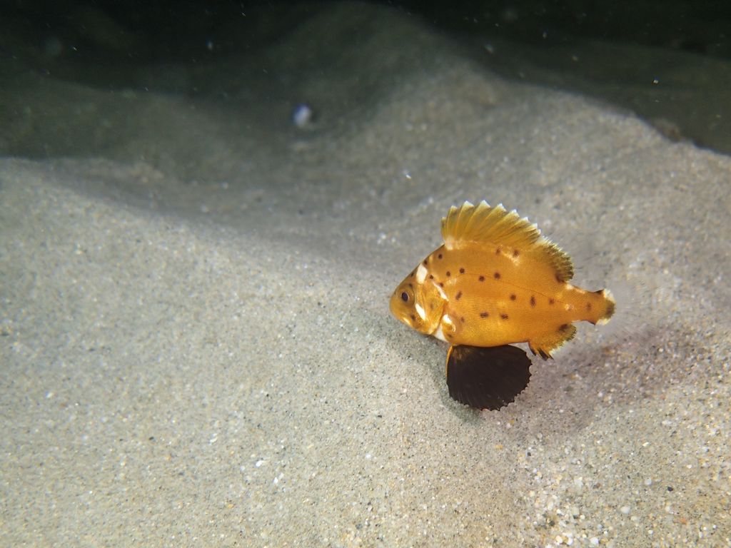 b9cb24f2-5ab9-4fb0-8148-f641c5cde2de