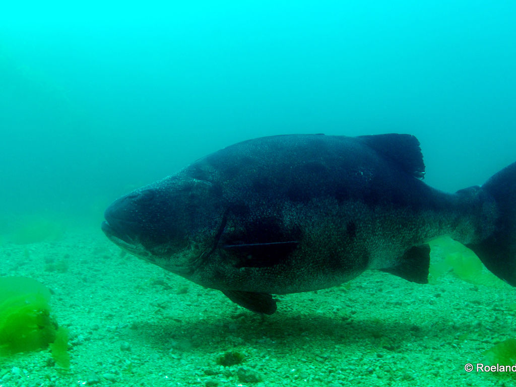 653930e6-2ac5-4501-a55d-3e8e0bdd9a99