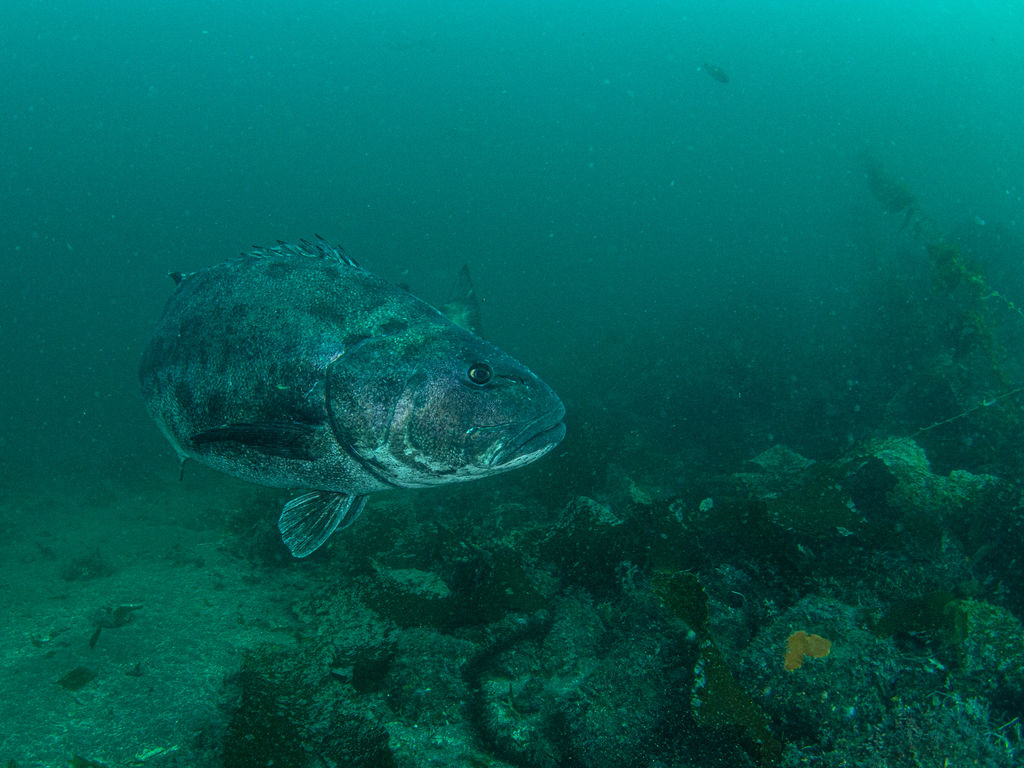 a2aa7d6d-7111-4da4-8889-9f5d7396e11f