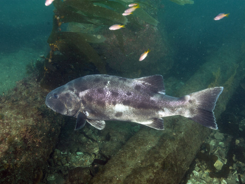 bdb72295-856a-4672-9757-64585374a2c3