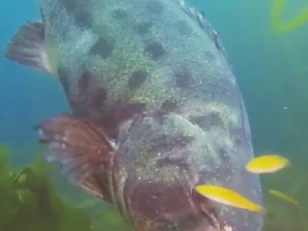 542c22a3-4833-4f84-b913-23d21dbc52fe