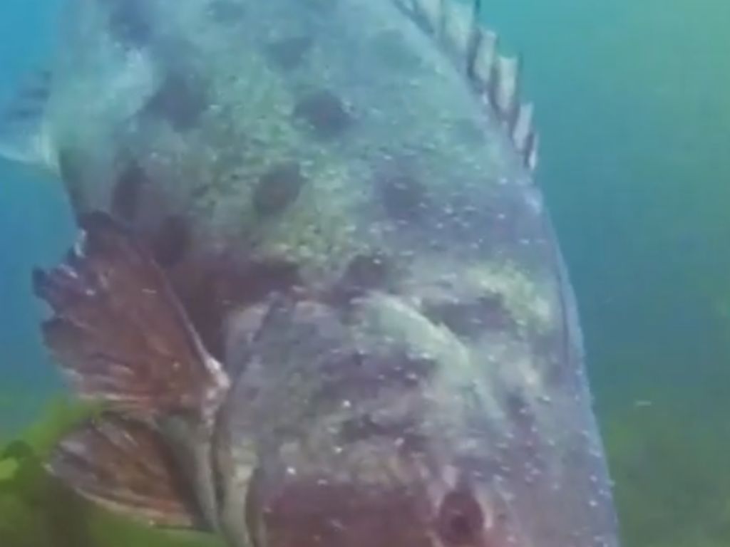 542c22a3-4833-4f84-b913-23d21dbc52fe