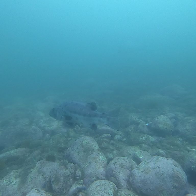 052efcdf-4ef4-4e5a-b281-d7e8b054445f