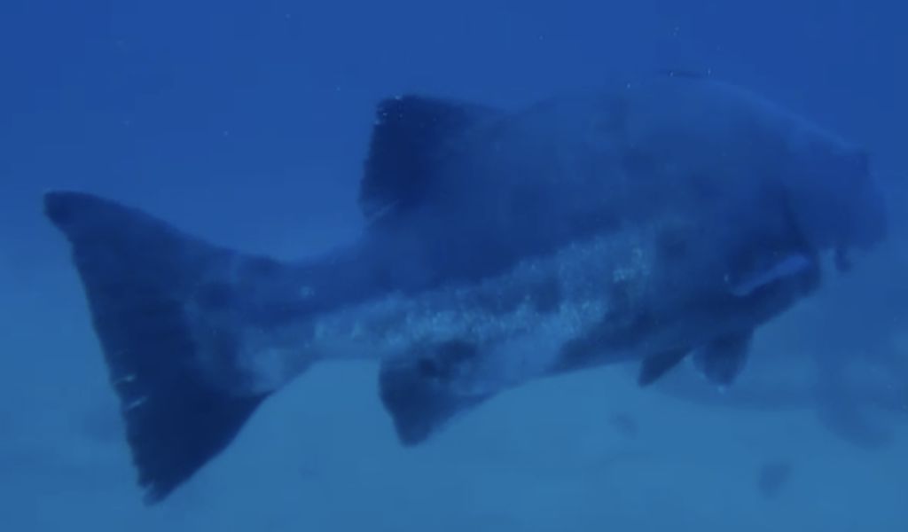 c4555e91-9e6a-48fd-816c-43bab5bf8111