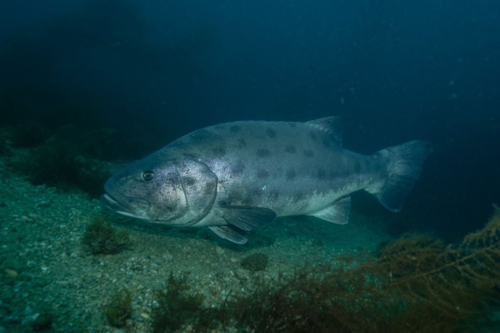 4f1b0e2a-306f-417d-9a68-e8b6f388875a