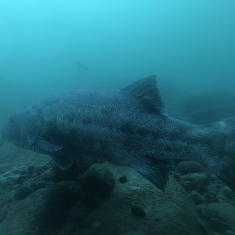 c22cb4b8-0ddf-4242-b6b9-025c4acd32f4