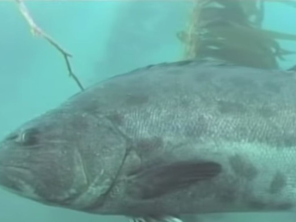 c5ba0a35-685e-419f-ae6b-55282c1b3a51