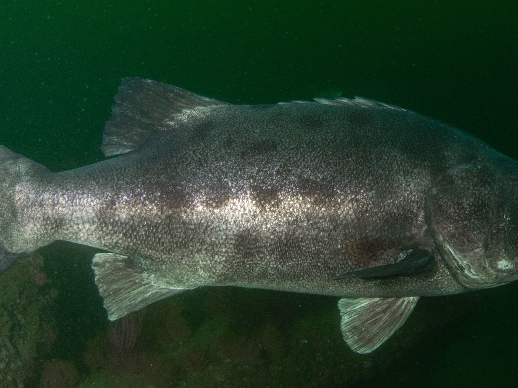 343145b3-8bc8-4391-934a-6a7e34394e66