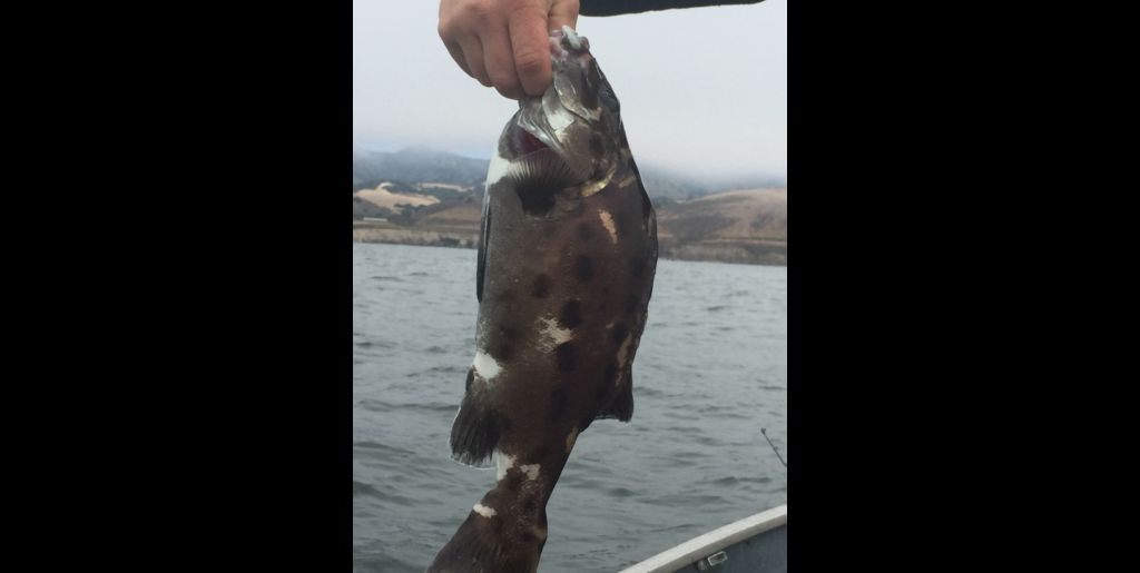 57c020bb-0460-4022-8926-4e4a6acee591