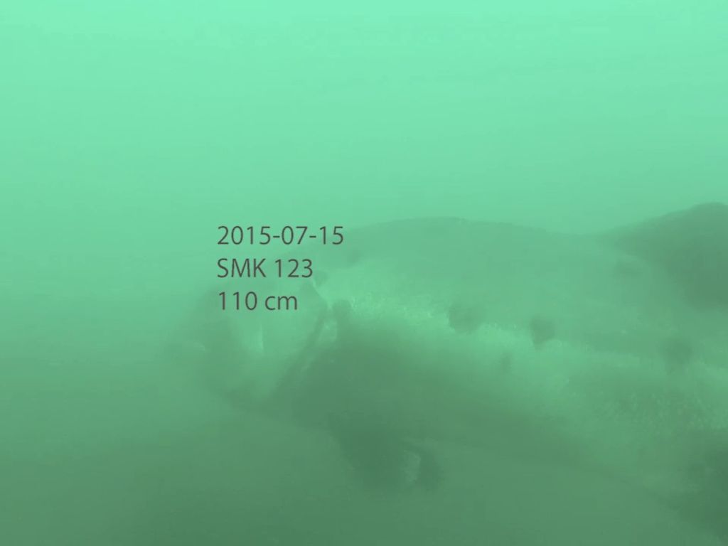 dd63c0d3-e60e-4088-a9b8-42f6f651c2e3