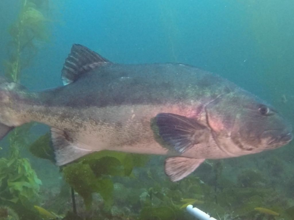 587e293d-f353-4129-9058-d114b3d2387b