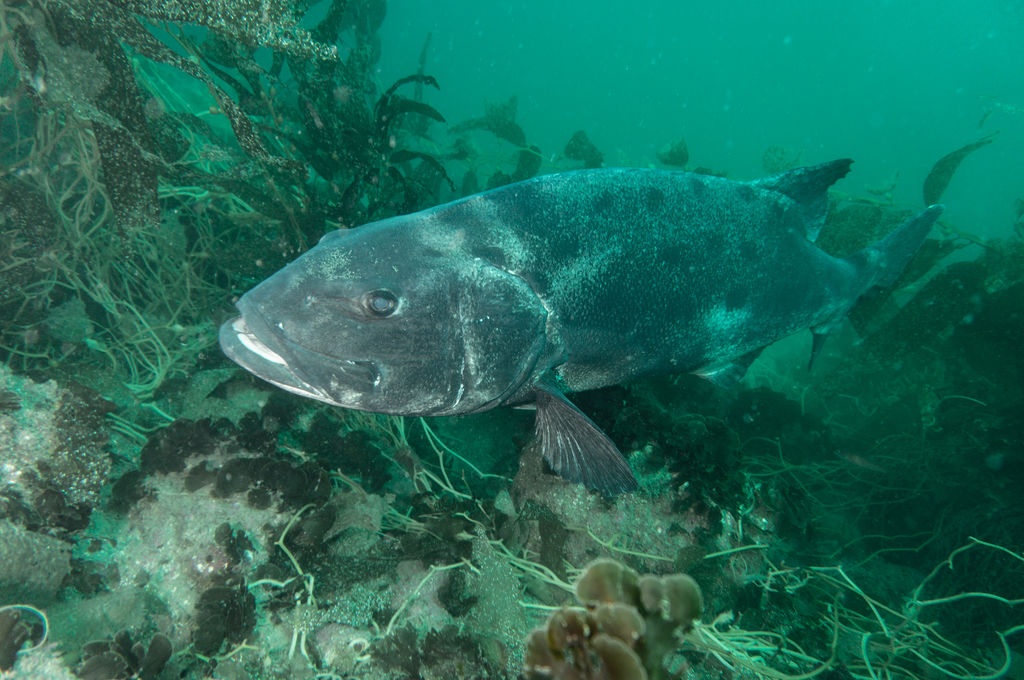 4a786ec7-eb1b-4429-aa81-516ef6d33645