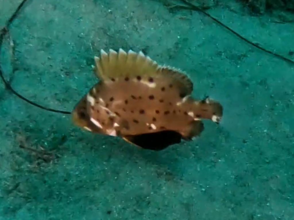 51f23ab0-d270-4e79-825b-b14bb238b664