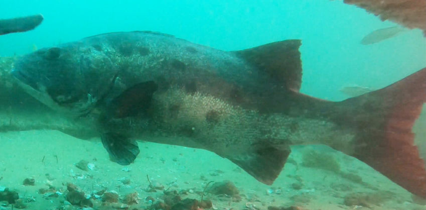 ba28c90a-4a59-4b04-9fda-61020e9dd244