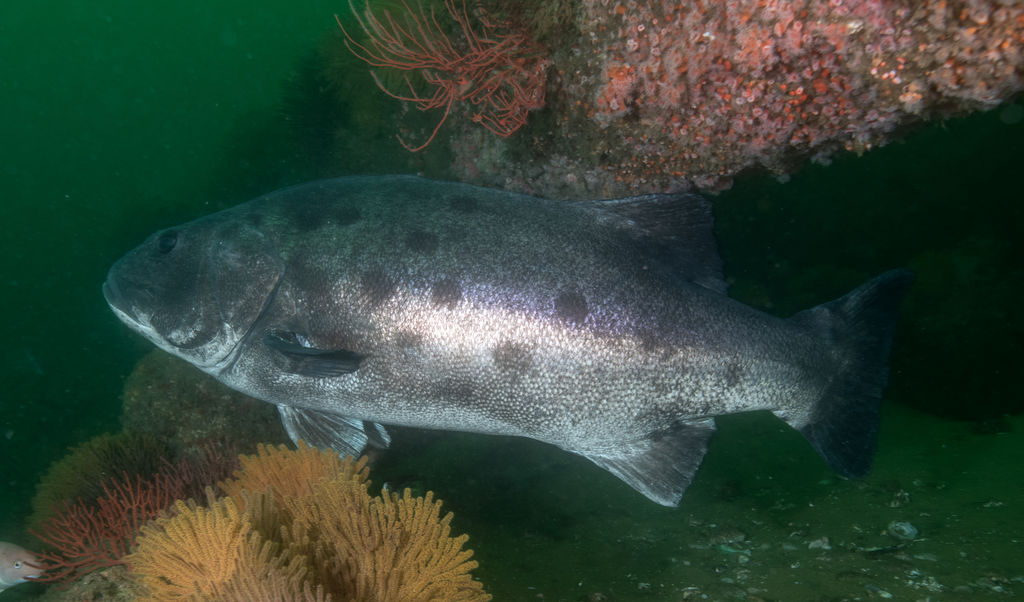 ba28c90a-4a59-4b04-9fda-61020e9dd244