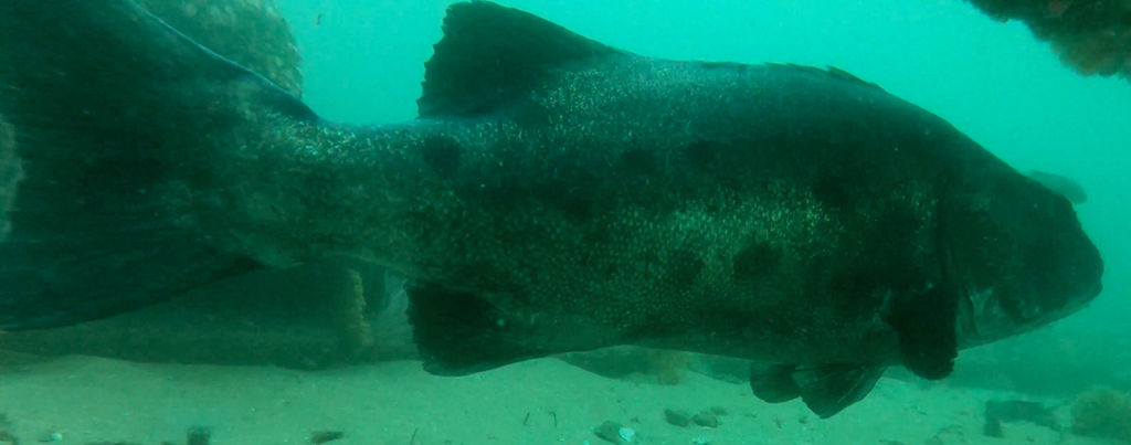 ba28c90a-4a59-4b04-9fda-61020e9dd244