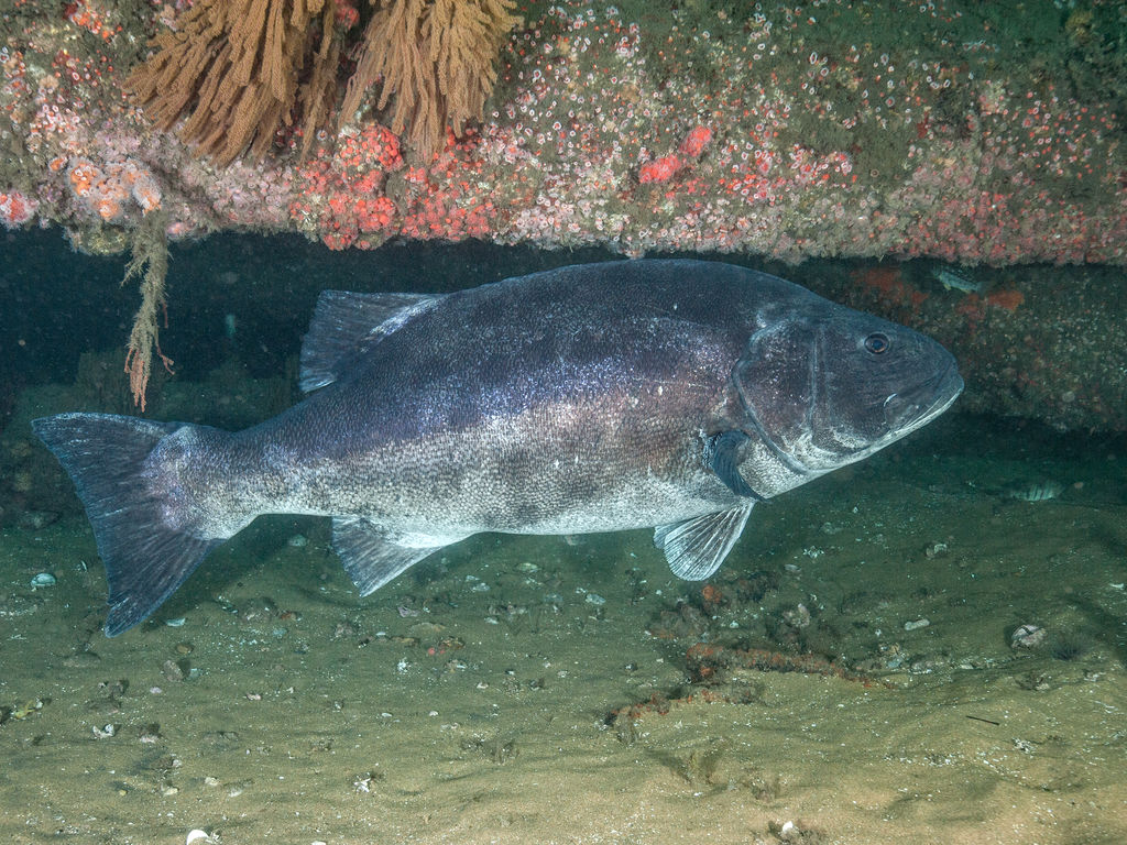 935dfb94-d35b-4d52-87ab-5f13b6f4997f