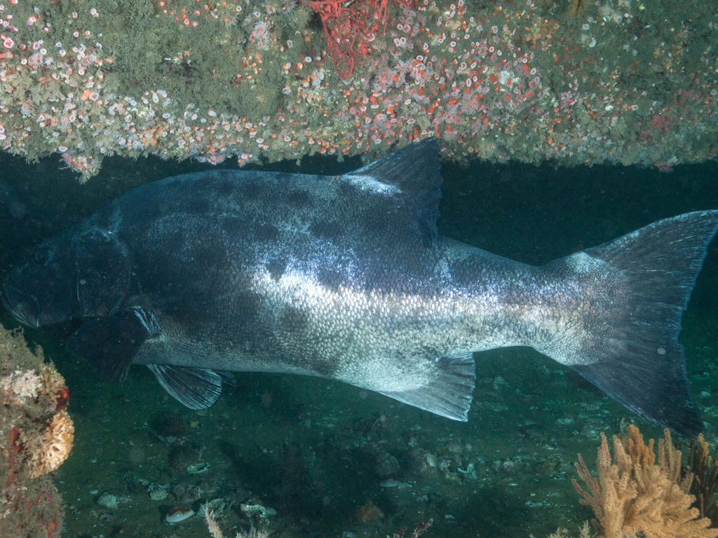 935dfb94-d35b-4d52-87ab-5f13b6f4997f