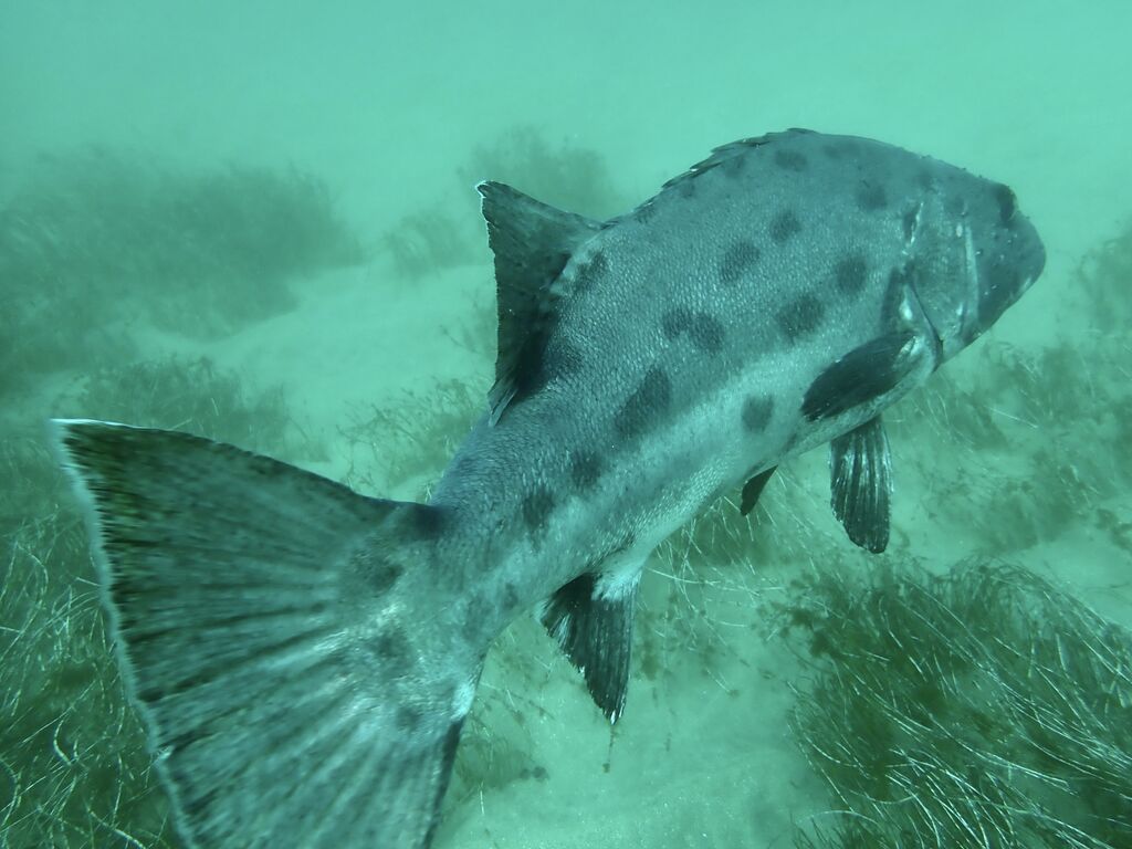 36a7d8c6-5e9d-4507-997e-3c55b85fa057