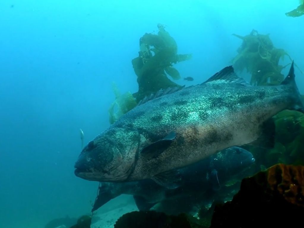 48b19e6b-a6e2-4d62-a34b-b33949163b53